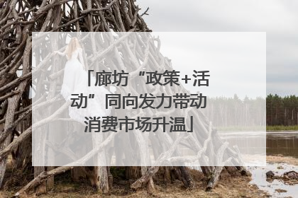 廊坊“政策+活动”同向发力带动消费市场升温