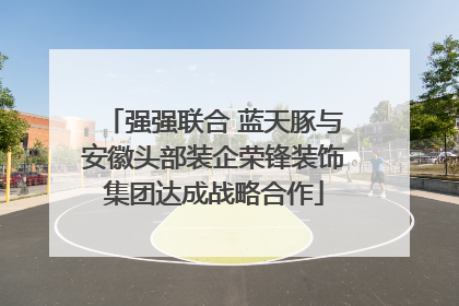 强强联合 蓝天豚与安徽头部装企荣锋装饰集团达成战略合作