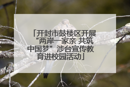 开封市鼓楼区开展“两岸一家亲 共筑中国梦”涉台宣传教育进校园活动