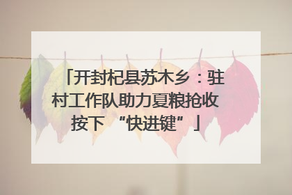 开封杞县苏木乡：驻村工作队助力夏粮抢收按下 “快进键”