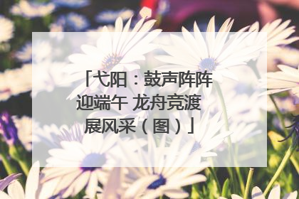 弋阳：鼓声阵阵迎端午 龙舟竞渡展风采（图）