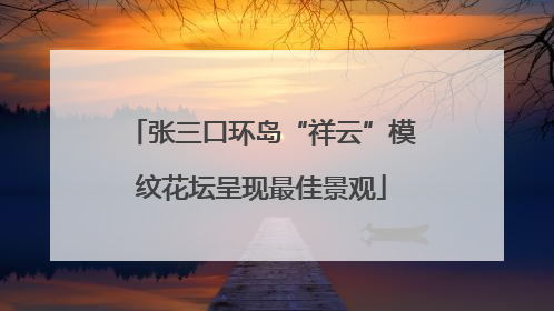 张三口环岛“祥云”模纹花坛呈现最佳景观