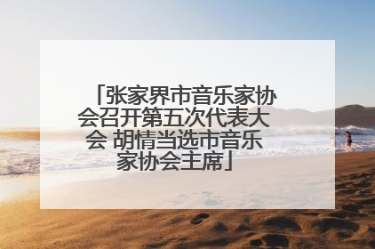 张家界市音乐家协会召开第五次代表大会 胡情当选市音乐家协会主席