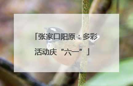 张家口阳原：多彩活动庆“六一”