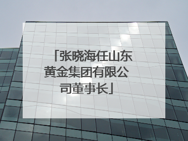 张晓海任山东黄金集团有限公司董事长