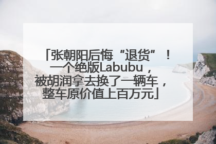 张朝阳后悔“退货”！一个绝版Labubu，被胡润拿去换了一辆车，整车原价值上百万元