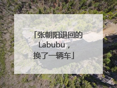 张朝阳退回的Labubu，换了一辆车