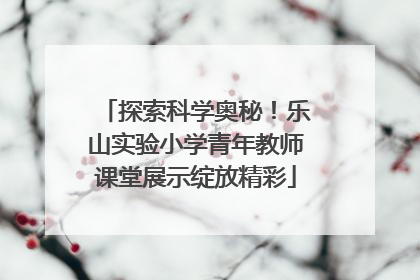 探索科学奥秘！乐山实验小学青年教师课堂展示绽放精彩