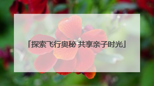 探索飞行奥秘 共享亲子时光