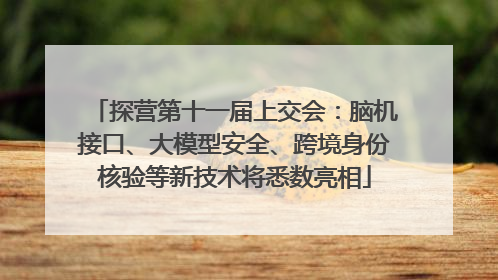 探营第十一届上交会：脑机接口、大模型安全、跨境身份核验等新技术将悉数亮相