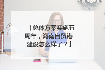 总体方案实施五周年，海南自贸港建设怎么样了？