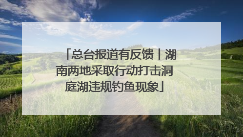 总台报道有反馈丨湖南两地采取行动打击洞庭湖违规钓鱼现象