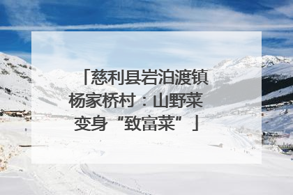 慈利县岩泊渡镇杨家桥村：山野菜变身“致富菜”
