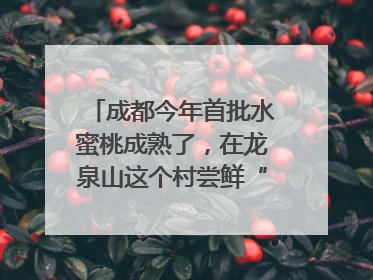 成都今年首批水蜜桃成熟了，在龙泉山这个村尝鲜“第一口”｜寻找和美乡村推荐官