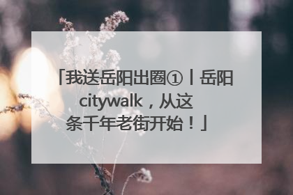 我送岳阳出圈①丨岳阳citywalk，从这条千年老街开始！