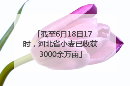 截至6月18日17时，河北省小麦已收获3000余万亩