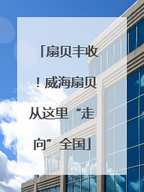 扇贝丰收！威海扇贝从这里“走向”全国