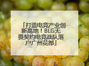 打造电竞产业创新高地！BLG无畏契约电竞战队落户广州花都