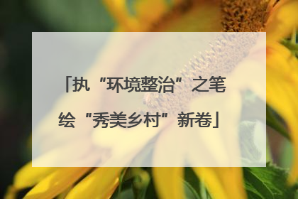执“环境整治”之笔 绘“秀美乡村”新卷