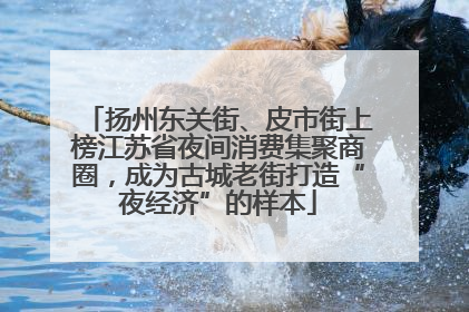 扬州东关街、皮市街上榜江苏省夜间消费集聚商圈，成为古城老街打造“夜经济”的样本
