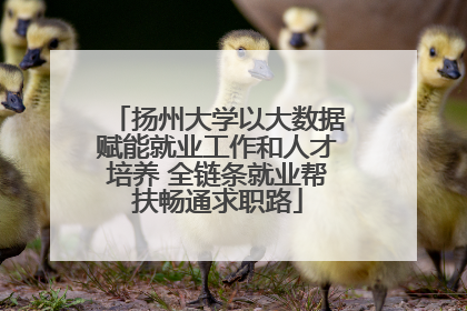 扬州大学以大数据赋能就业工作和人才培养 全链条就业帮扶畅通求职路