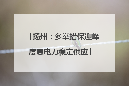 扬州：多举措保迎峰度夏电力稳定供应