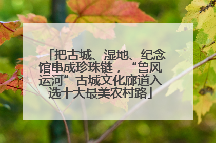 把古城、湿地、纪念馆串成珍珠链，“鲁风运河”古城文化廊道入选十大最美农村路