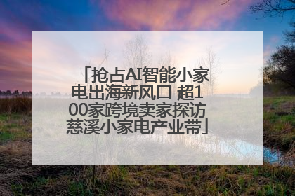 抢占AI智能小家电出海新风口 超100家跨境卖家探访慈溪小家电产业带