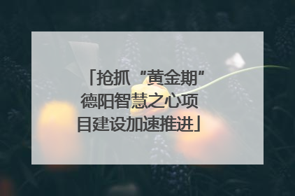 抢抓“黄金期” 德阳智慧之心项目建设加速推进
