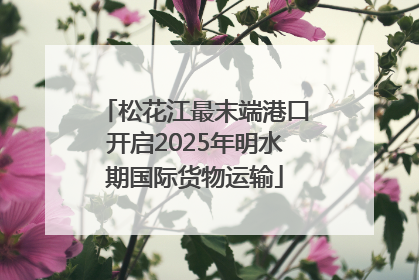 松花江最末端港口开启2025年明水期国际货物运输