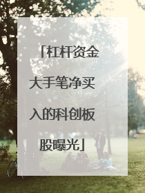 杠杆资金大手笔净买入的科创板股曝光