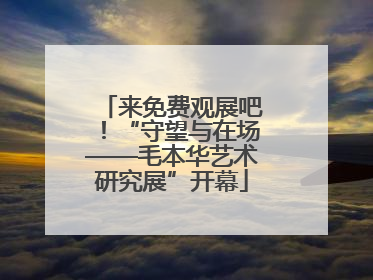 来免费观展吧！“守望与在场——毛本华艺术研究展”开幕