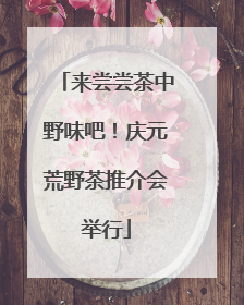来尝尝茶中野味吧！庆元荒野茶推介会举行