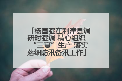 杨国强在利津县调研时强调 精心组织“三夏”生产 落实落细防汛备汛工作