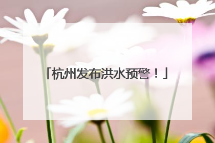 杭州发布洪水预警！