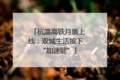 杭温高铁月票上线：双城生活按下“加速键”
