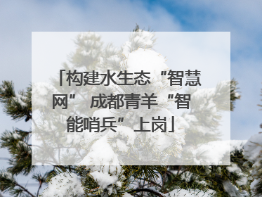 构建水生态“智慧网” 成都青羊“智能哨兵”上岗