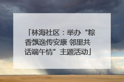 林海社区：举办“粽香飘逸传安康 邻里共话端午情”主题活动