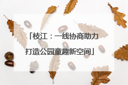 枝江：一线协商助力打造公园童趣新空间