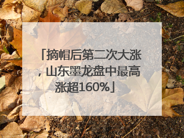 摘帽后第二次大涨，山东墨龙盘中最高涨超160%