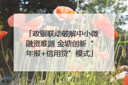 政银联动破解中小微融资难题 金塘创新“年报+信用贷”模式