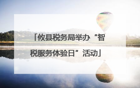 攸县税务局举办“智税服务体验日”活动