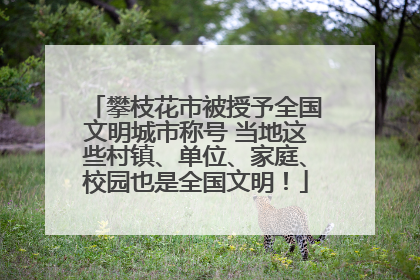 攀枝花市被授予全国文明城市称号 当地这些村镇、单位、家庭、校园也是全国文明！