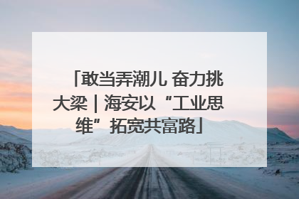 敢当弄潮儿 奋力挑大梁｜海安以“工业思维”拓宽共富路