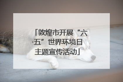 敦煌市开展“六·五”世界环境日主题宣传活动