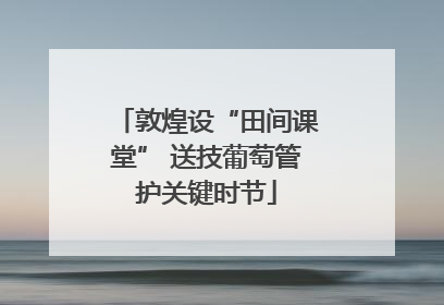 敦煌设“田间课堂” 送技葡萄管护关键时节