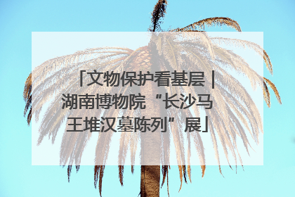 文物保护看基层｜湖南博物院“长沙马王堆汉墓陈列”展