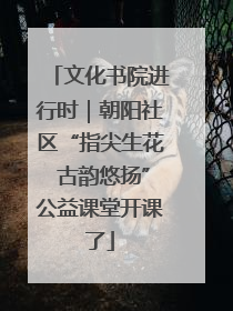 文化书院进行时｜朝阳社区“指尖生花 古韵悠扬”公益课堂开课了