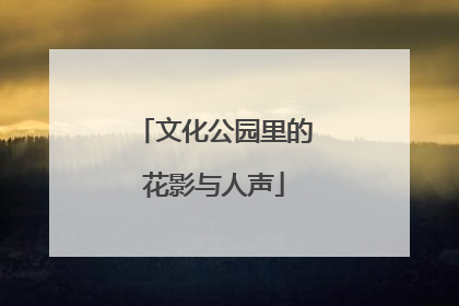 文化公园里的花影与人声