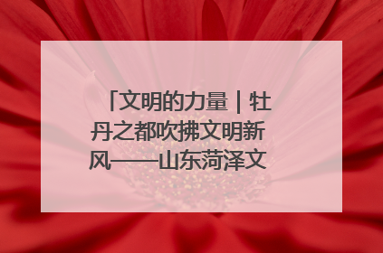 文明的力量｜牡丹之都吹拂文明新风——山东菏泽文明创建一线见闻
